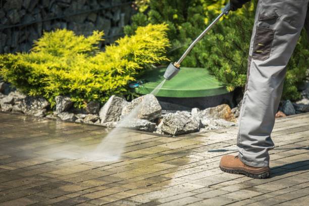 San Elizario, TX Pressure Washing Services Company
